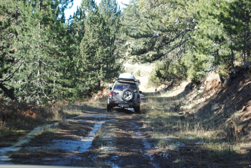 DSC_2160.jpg