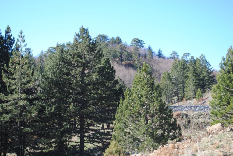 DSC_2163.jpg