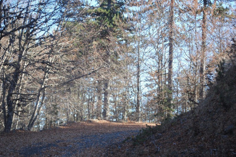 DSC_2172.jpg