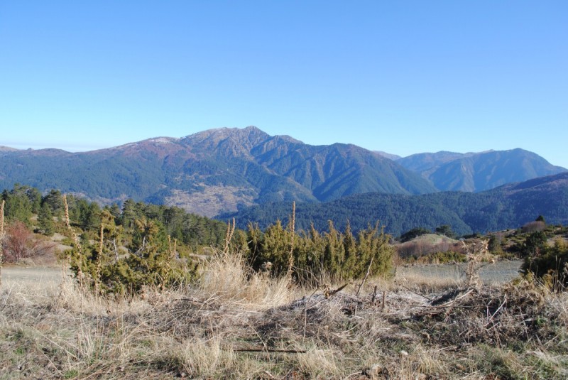 DSC_2183.jpg