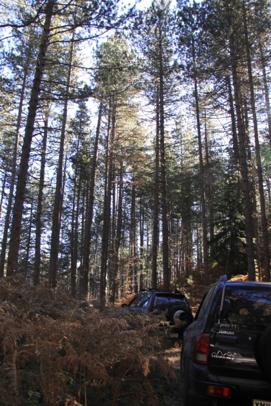2011_11_19_2358.JPG
