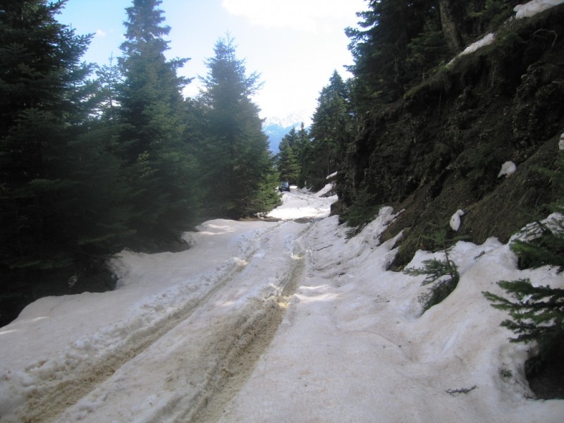 IMG_8154.jpg