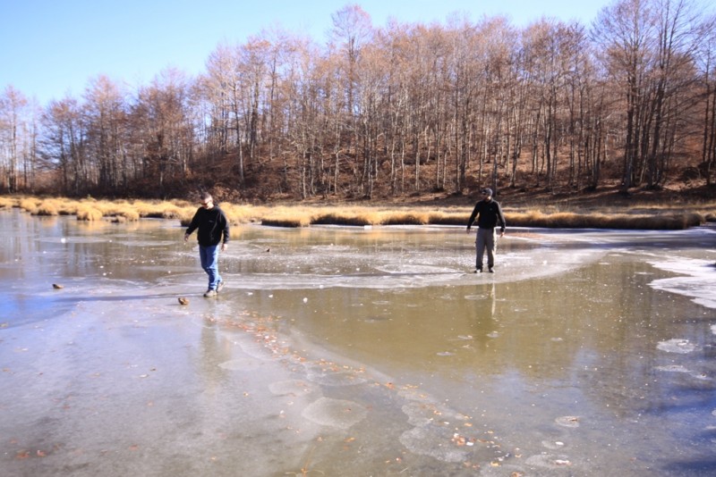 2011_11_20_2977.JPG