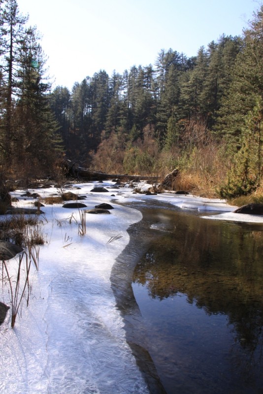 2011_11_20_3079.JPG
