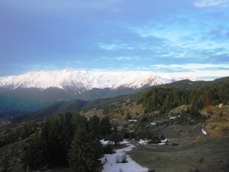 IMG_8193.jpg