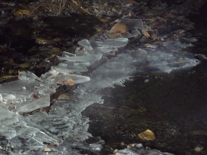 P1200256.JPG