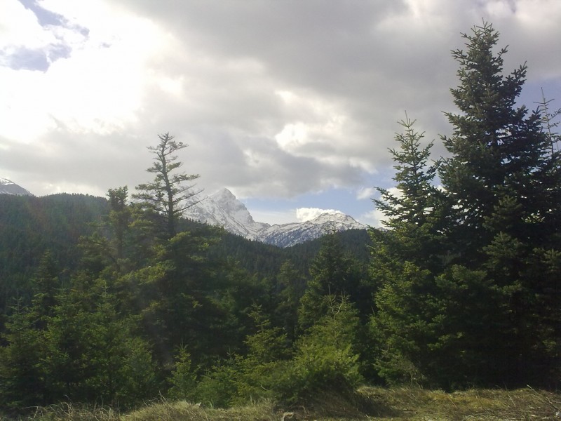 27022010342.jpg