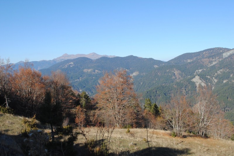 DSC_2209.jpg