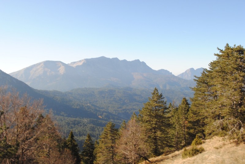 DSC_2211.jpg