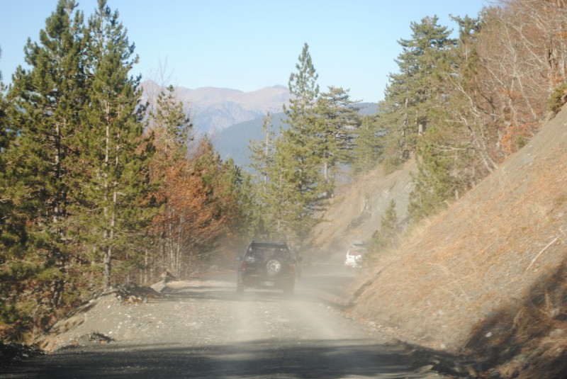DSC_2225.jpg