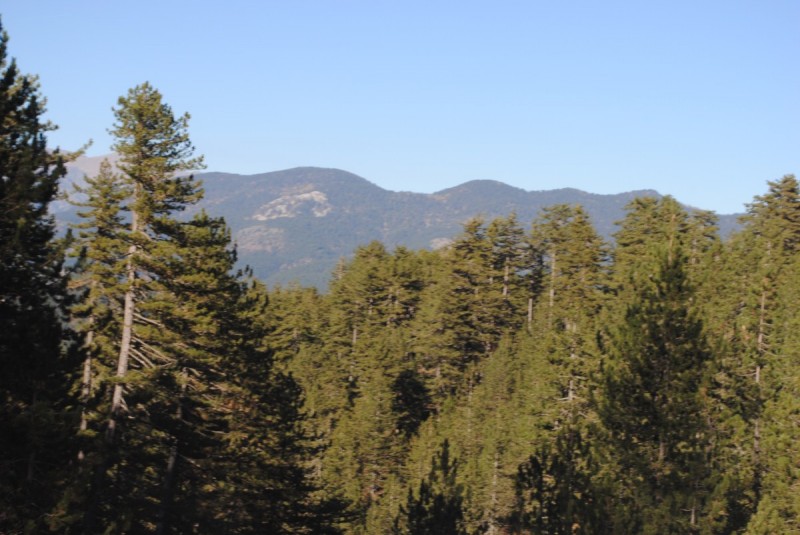 DSC_2232.jpg