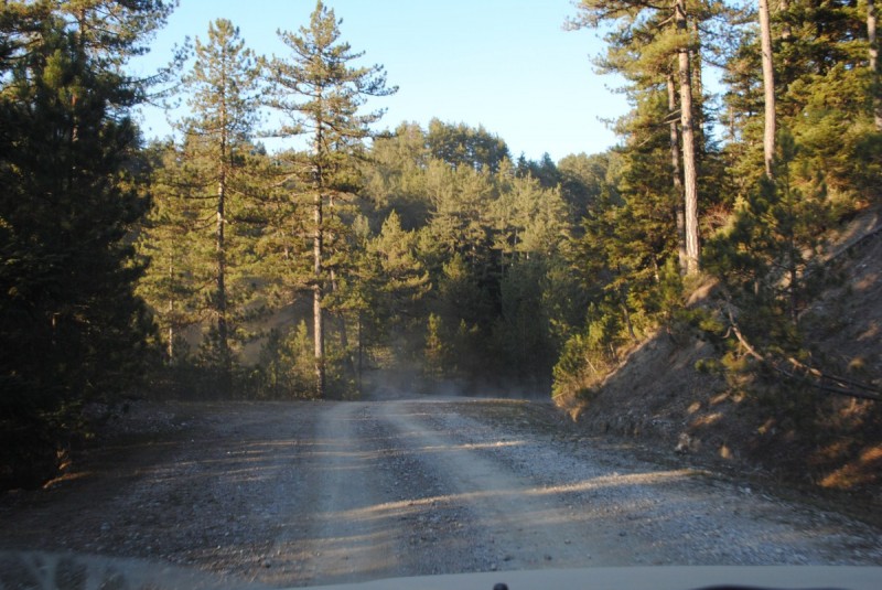 DSC_2297.jpg