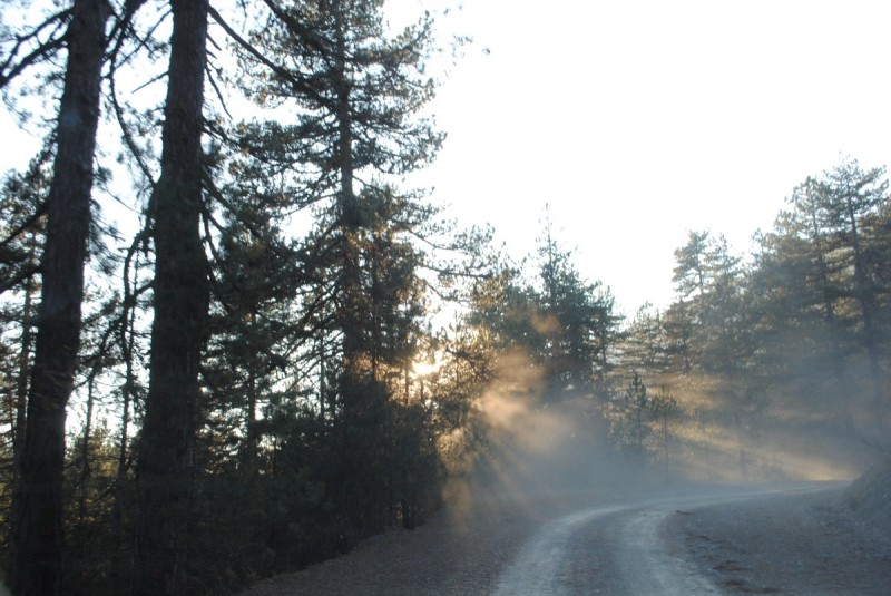 DSC_2300.jpg
