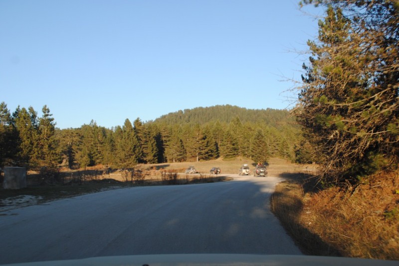 DSC_2303.jpg