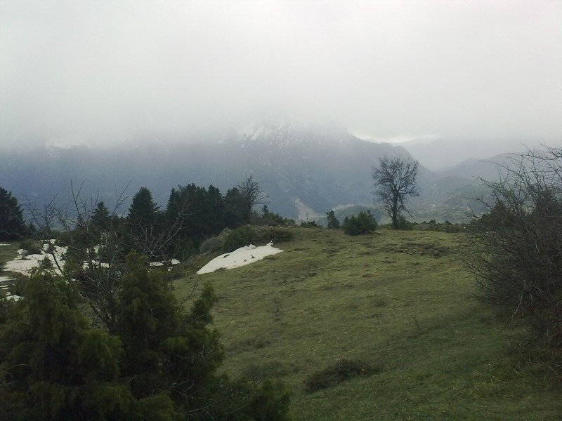 27022010348.jpg