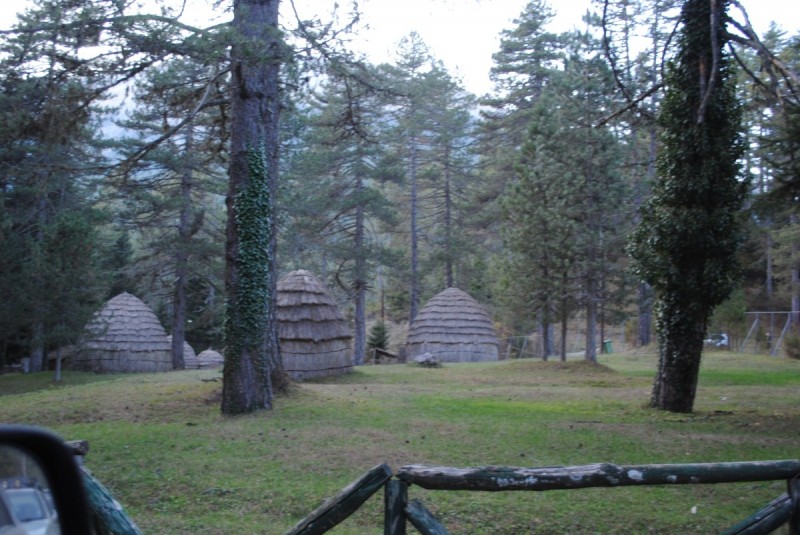 DSC_2308.jpg