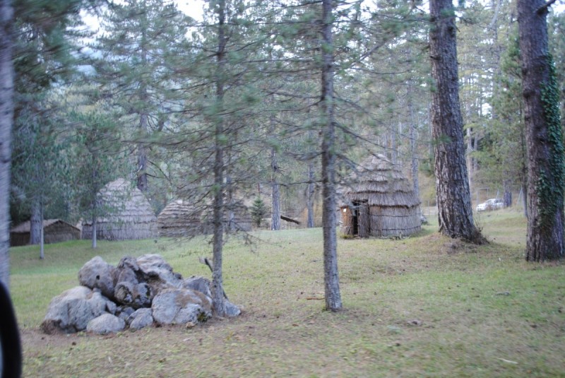DSC_2310.jpg