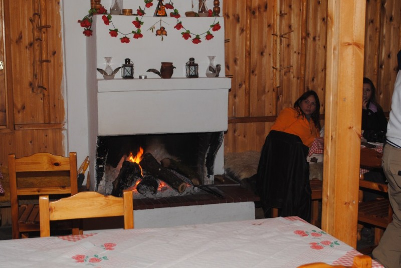 DSC_2338.jpg