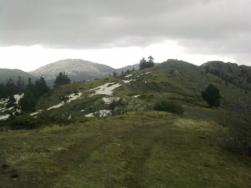 27022010350.jpg