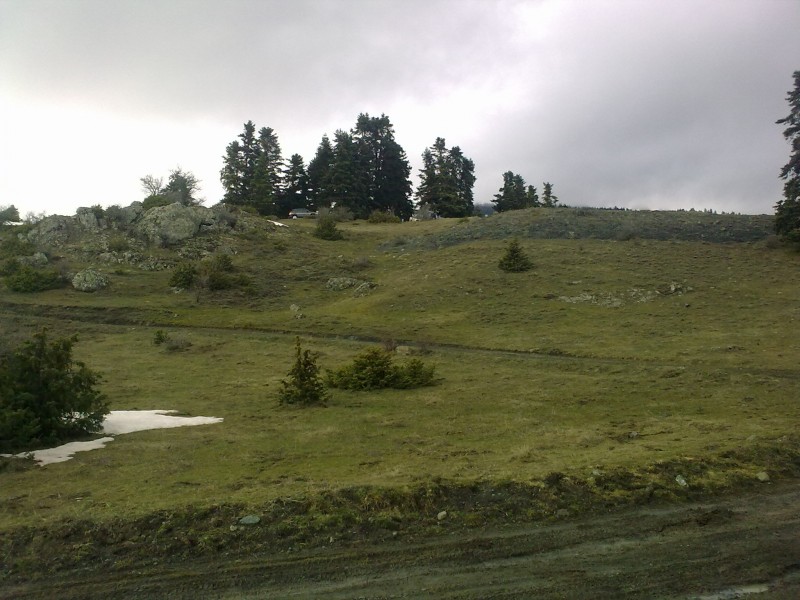 27022010351.jpg