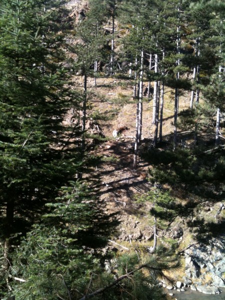 IMG_0394 (450 x 600).jpg