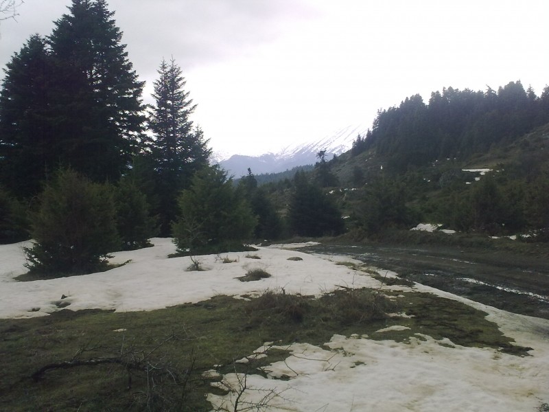 27022010352.jpg