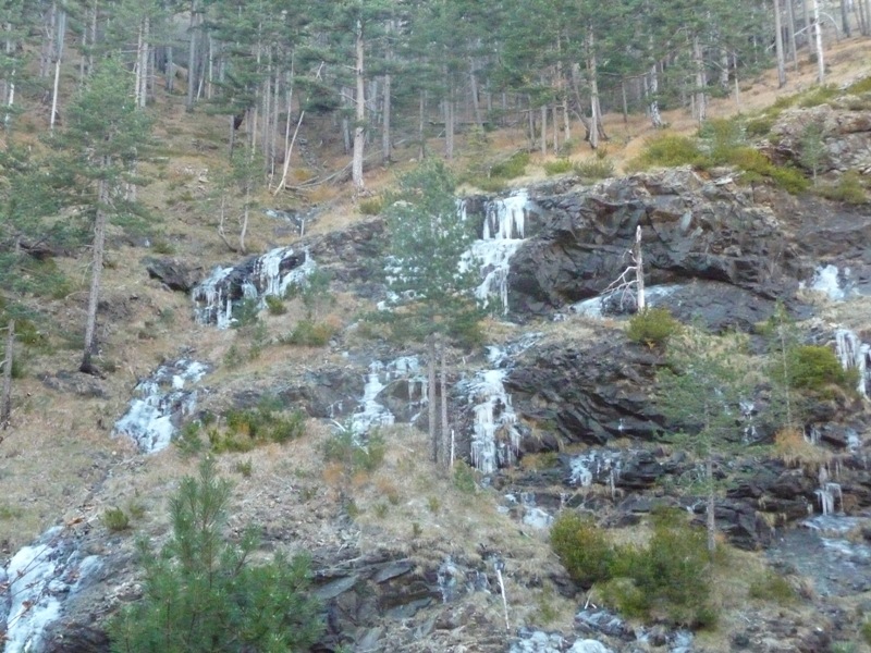 P1200341.JPG