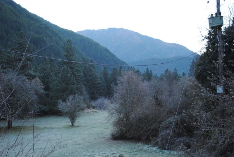 DSC_2386.jpg