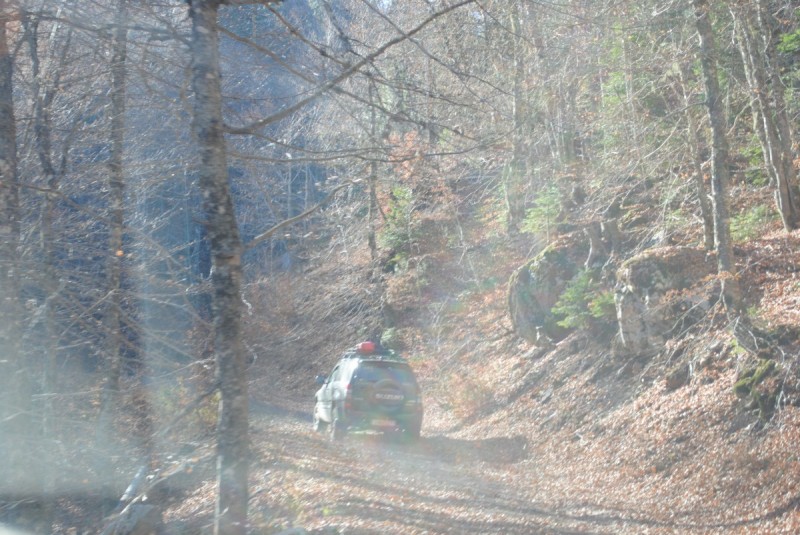 DSC_2430.jpg