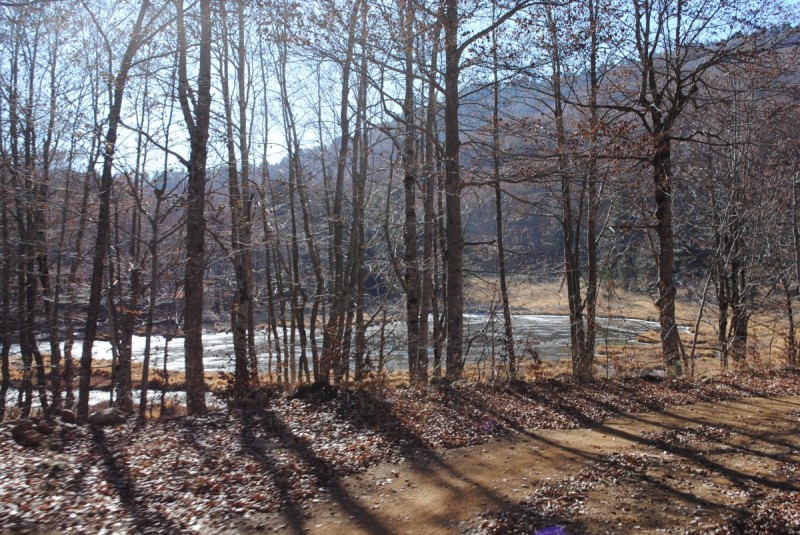 DSC_2463.jpg