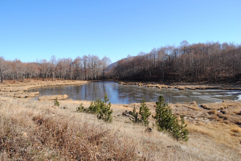 DSC_2466.jpg