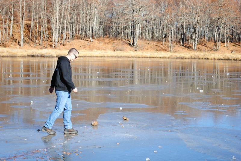 DSC_2498.jpg