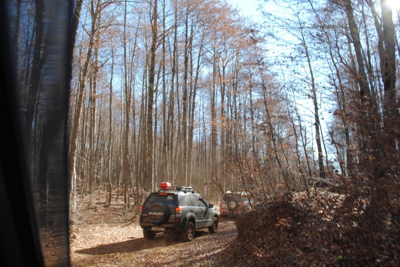 DSC_2527.jpg