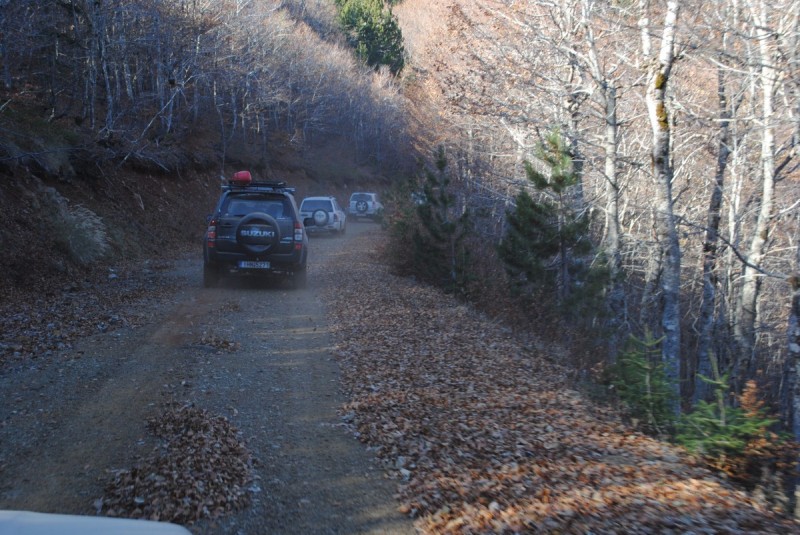 DSC_2548.jpg