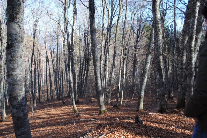 DSC_2562.jpg