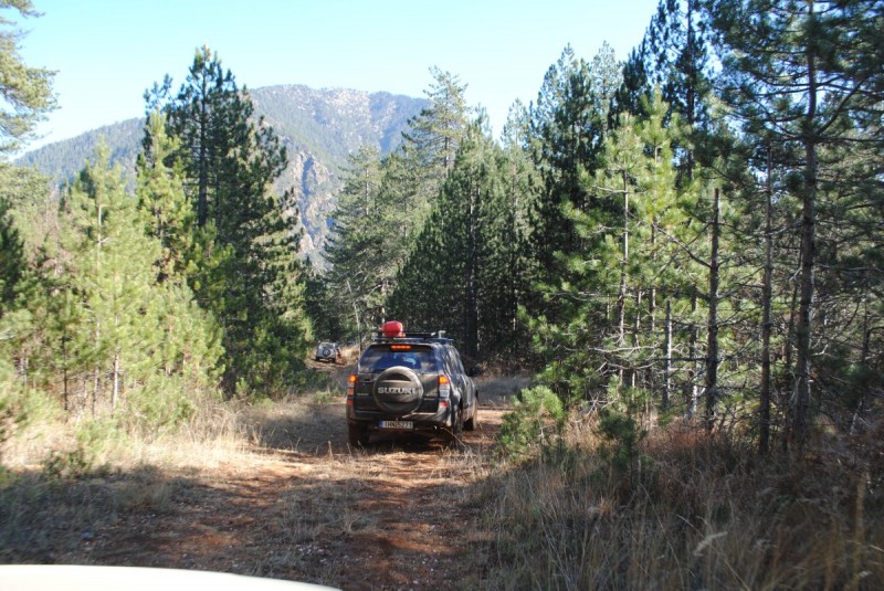 DSC_2581.jpg