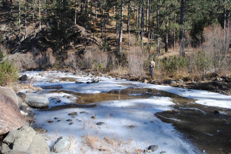 DSC_2584.jpg