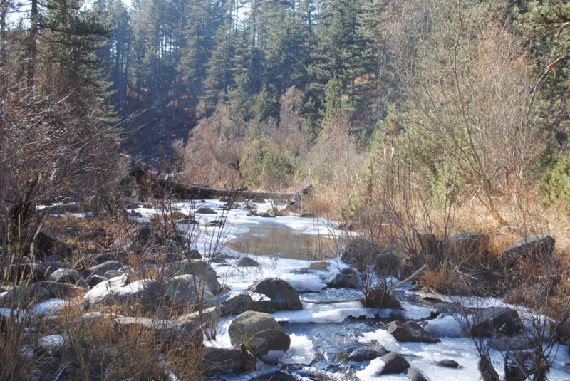 DSC_2585.jpg