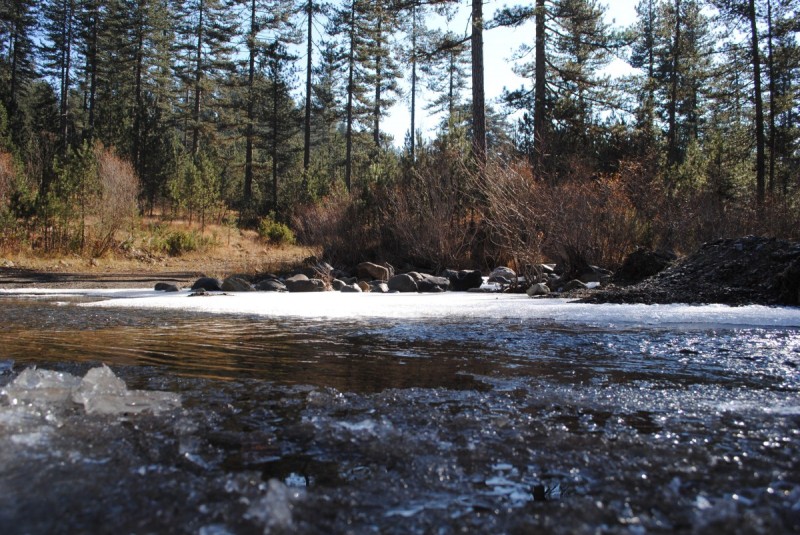 DSC_2596.jpg