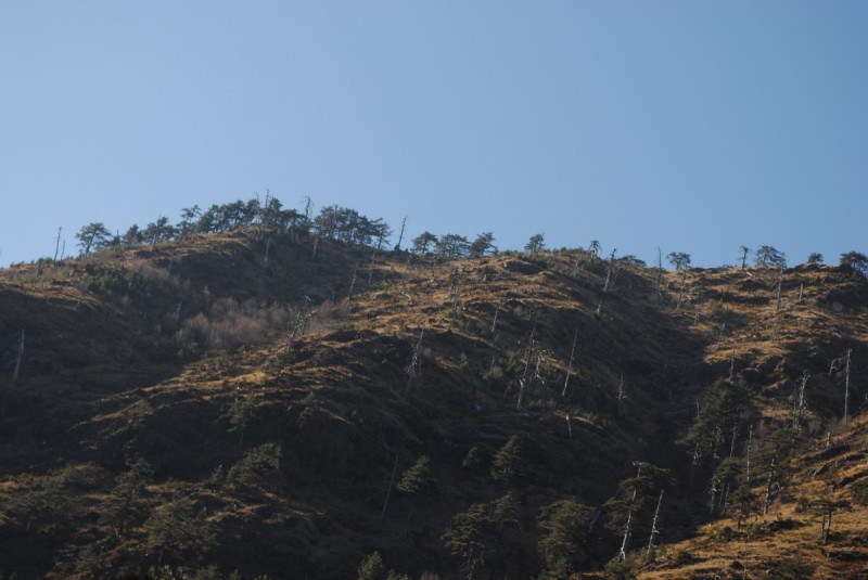 DSC_2639.jpg