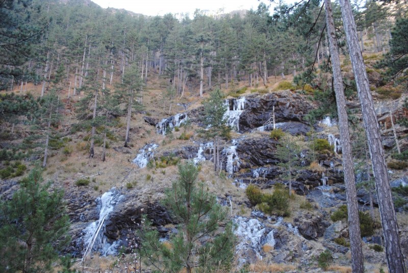 DSC_2649.jpg