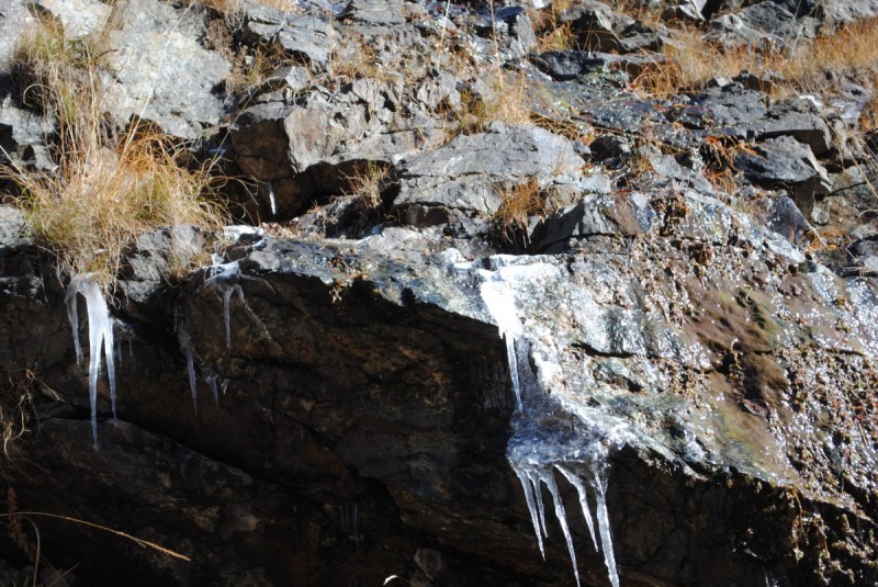 DSC_2657.jpg
