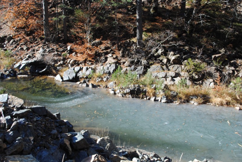 DSC_2670.jpg