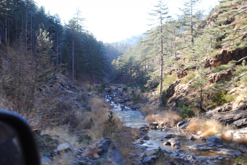 DSC_2672.jpg