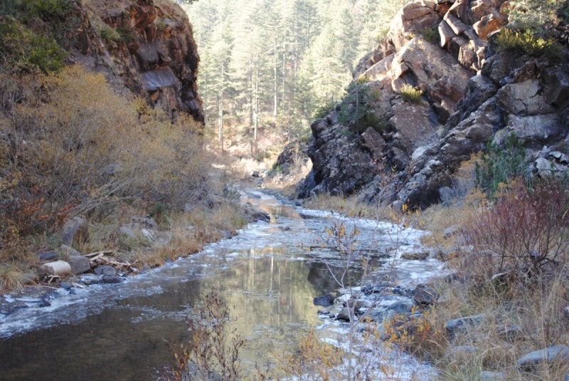 DSC_2687.jpg