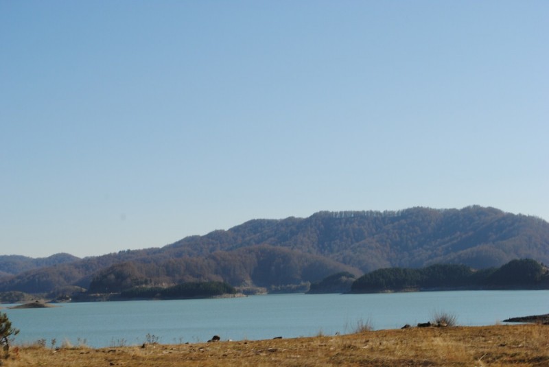 DSC_2733.jpg