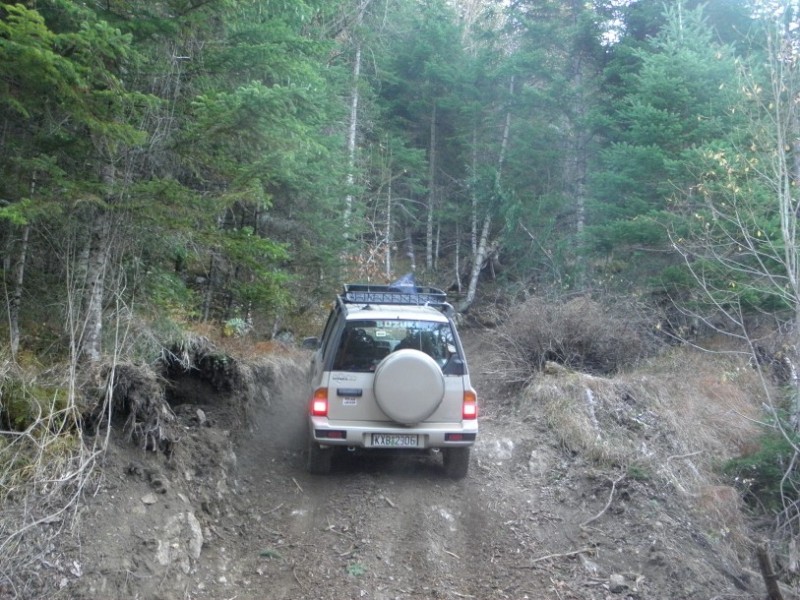 PB190045.jpg