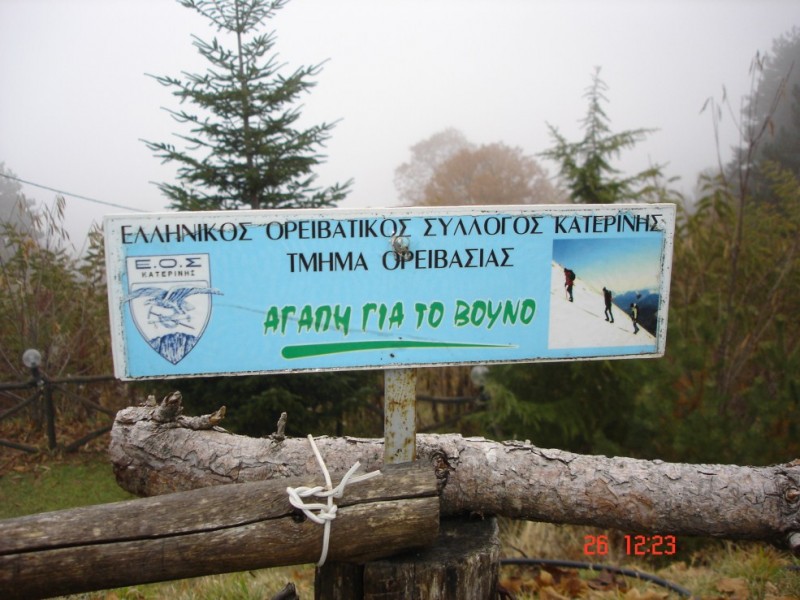 DSC03528.jpg