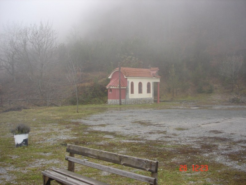 DSC03529.jpg