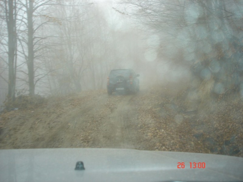 DSC03540.jpg